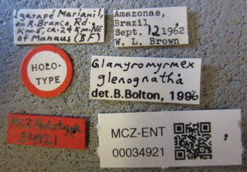 Media type: image;   Entomology 34921 Aspect: labels
